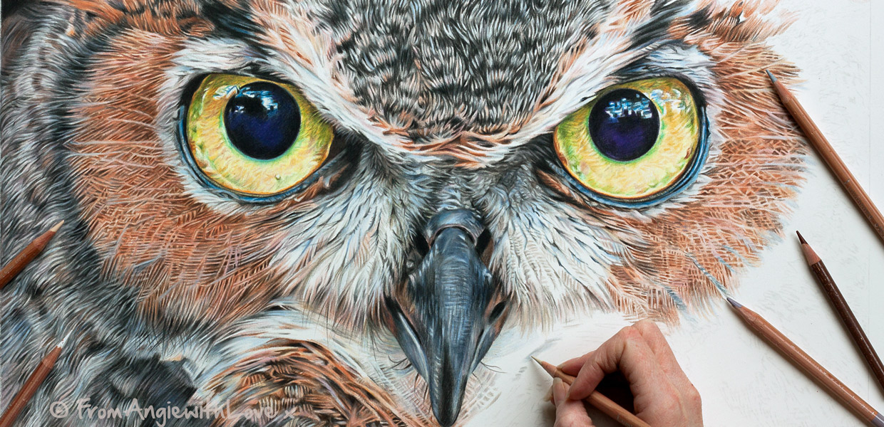 Wildlife Portrait Artist – Beautiful animals drawn in coloured pencil ...